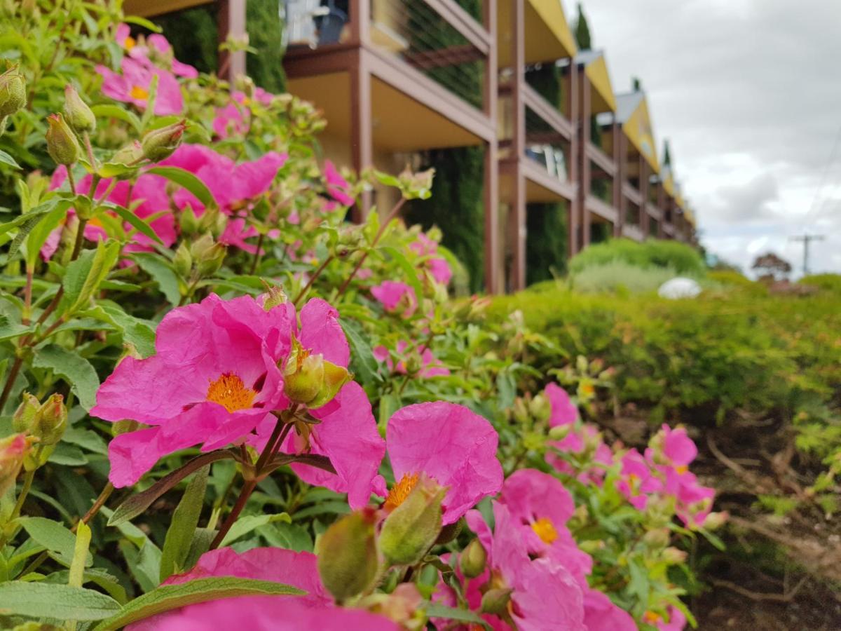 Seaview Motel y apartamentos Apollo Bay Exterior foto